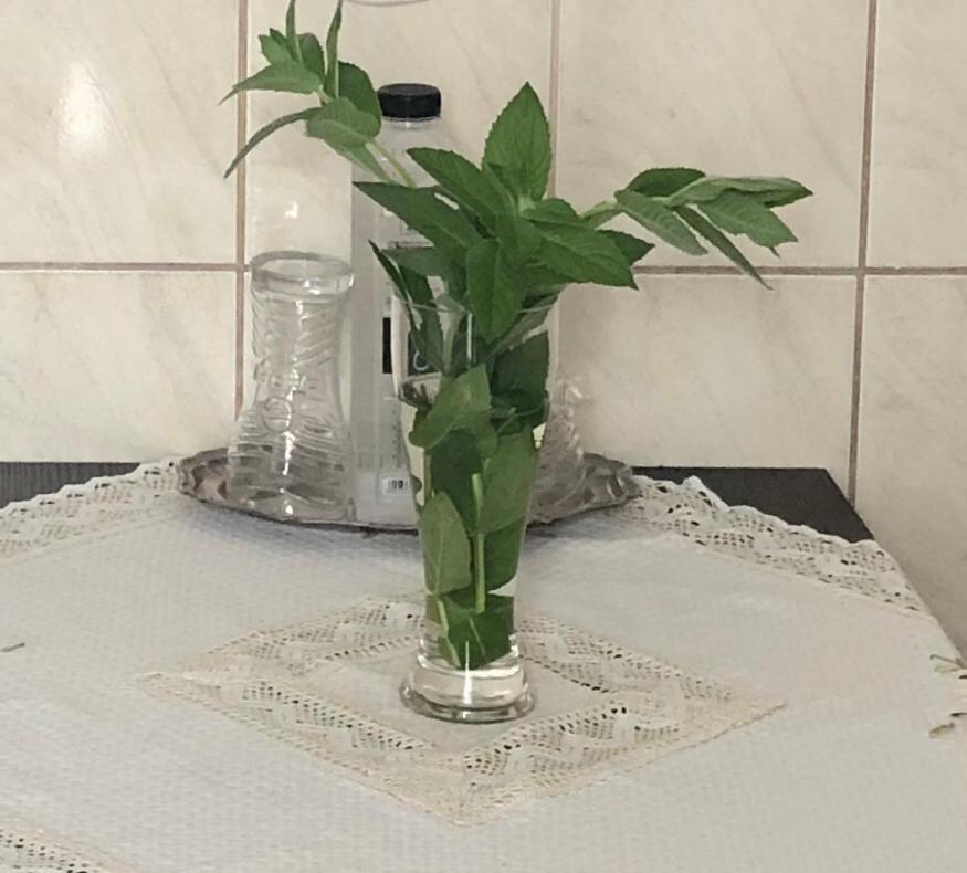 Apartament Strada Nerva Traian 11 Garsoniera Bucureşti